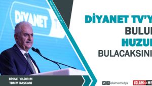 Yıldırım: 